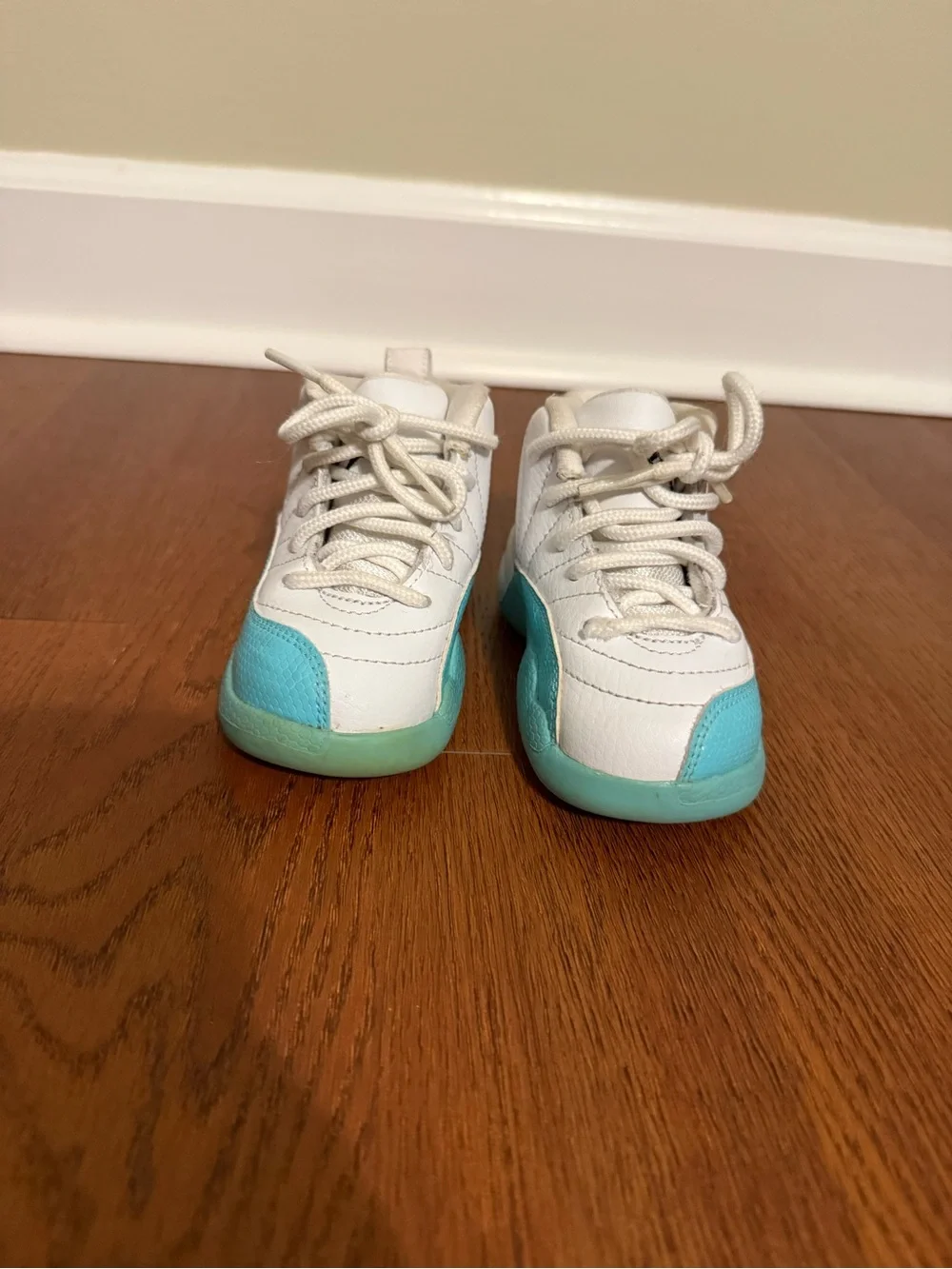Air Jordan 12 Retro TD 